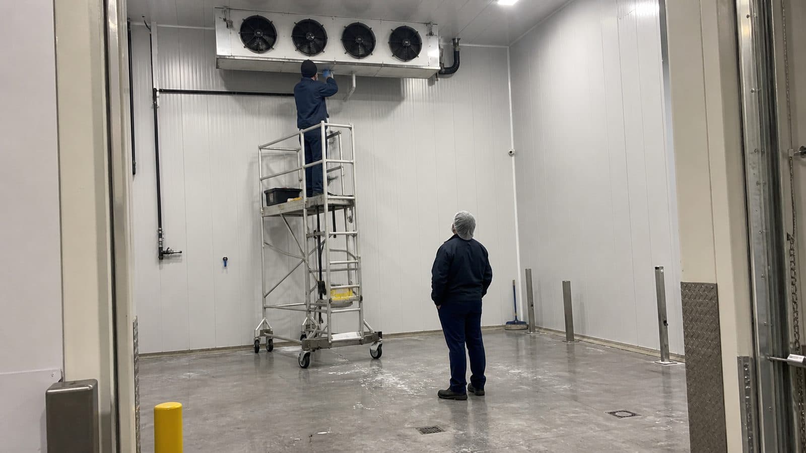 A technician clearing and inspecting the evaporator drain pan in a food processing plant cold room, with meltwater on the floor below