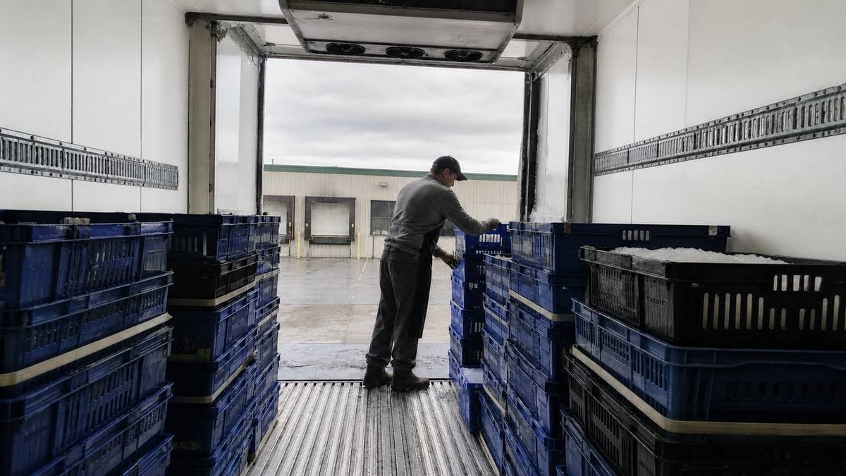 Interior of a mobile cold storage trailer holding produce during a grocery refrigeration rescue